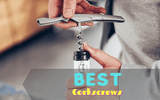 Best Corkscrews