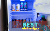 Best Mini Fridges