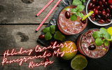 Holiday Cranberry Pomegranate Mojito Recipe