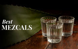 Mezcal drink with agave plant