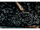 A close-up photo of soda bubbles