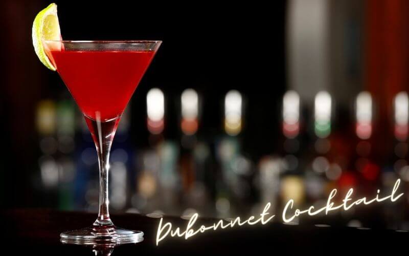 Dubonnet Cocktail Recipe