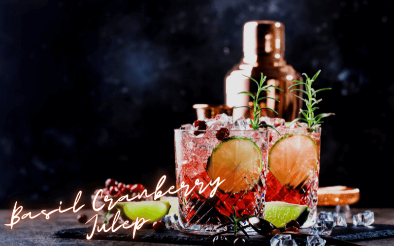 Basil Cranberry Julep Recipe