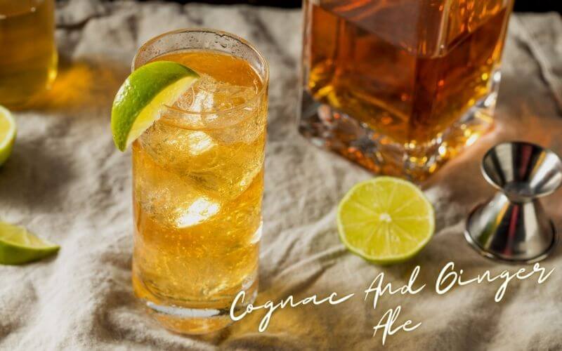 Cognac and Ginger Ale Recipe