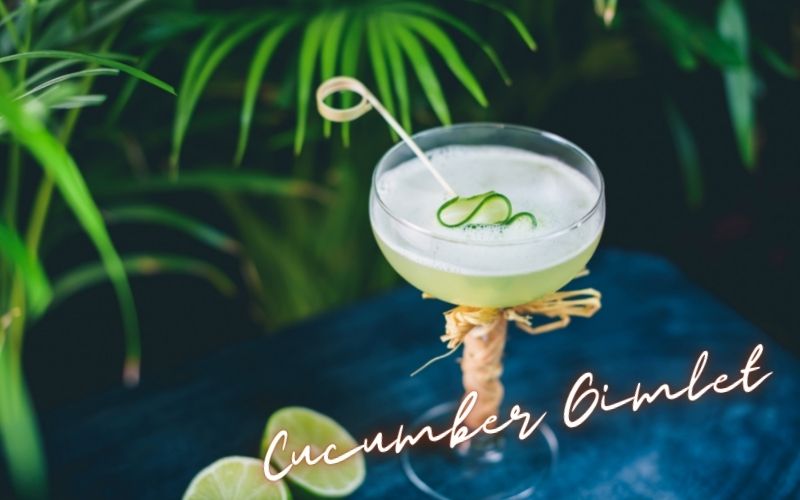 Cucumber Gimlet