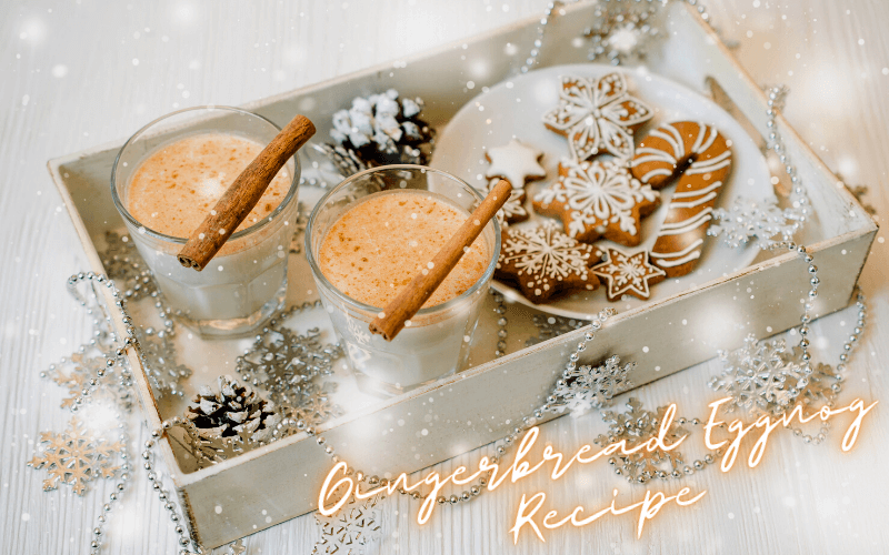 Gingerbread Eggnog Recipe