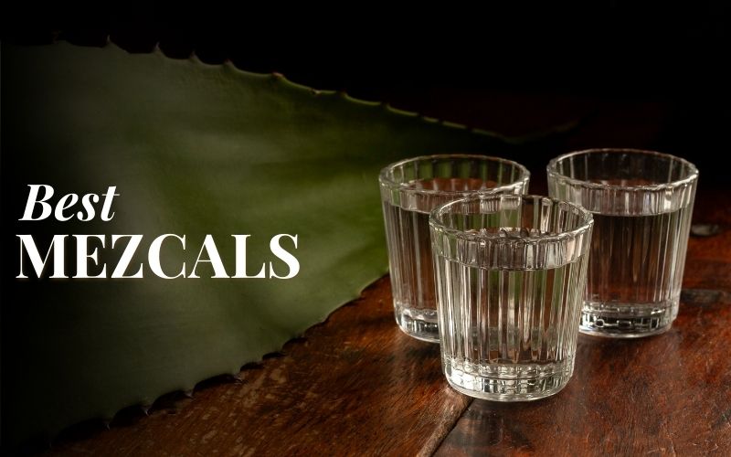 Mezcal drink with agave plant