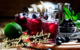 Skinny Sparkling Blueberry Mojito Recipe