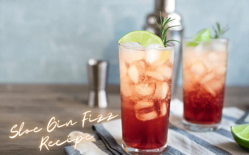 Sloe Gin Fizz Recipe
