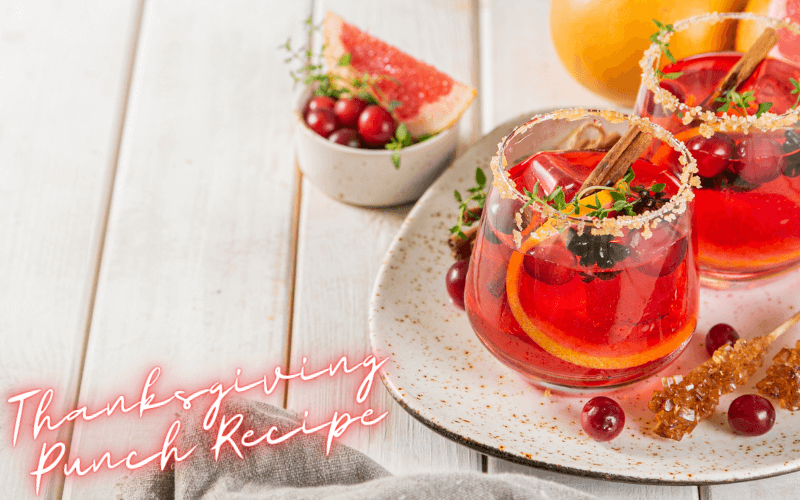 Thanksgiving Punch Recipe
