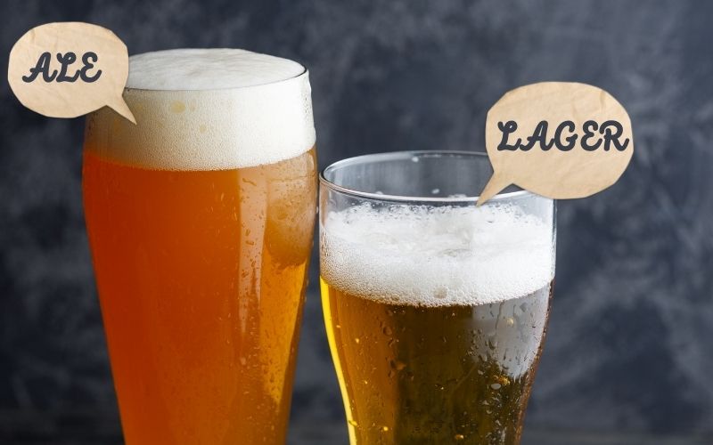 Ale Vs. Lager: Which Beer Is Perfect For You?