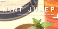 Mint Julep Recipe