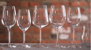 How Important Are Wine Glasses? Are Wine Glasses Necessary?