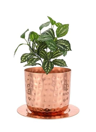 Glytterati- Decorative Watering Can and Planter with Plate