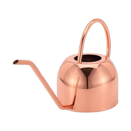 Glytterati- Decorative Watering Can and Planter with Plate