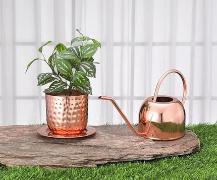 Glytterati- Decorative Watering Can and Planter with Plate
