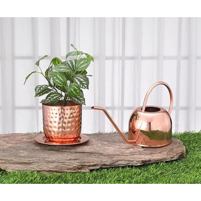Glytterati- Decorative Watering Can and Planter with Plate