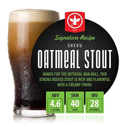 BrewDemon Craft Beer Kit with Bottles - Conical Fermenter Eliminates Sediment and Makes Great Tasting Home Made Beer - 1 gallon pilsner, stout, and IPA