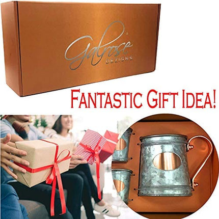 Galrose Galvanized Iron Beer Stein - Rose Gold Plaque 16 oz Stainless Steel Double Wall Beer Mug. 2 Rustic Moscow Mule Mugs with 2 Shot Glasses for Parties. Unique Gifts for Him 6th Iron Anniversary