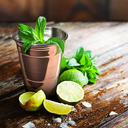 Fred & Friends THE COPPER PARTY CUP, 16-Ounce