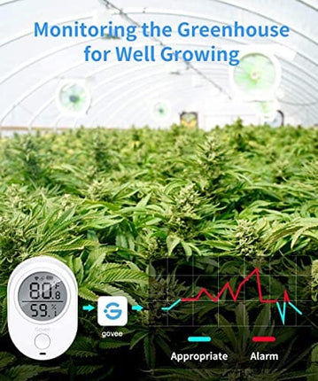Govee WiFi Thermometer Hygrometer H5051, Bluetooth Indoor Temperature Humidity Monitor with App Notification Alert, Smart Humidity Sensor for Greenhouse Wine Cellar, 2 Years Free Data Storage Export