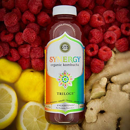 GT's Kombucha, Trilogy 16 Fl Oz