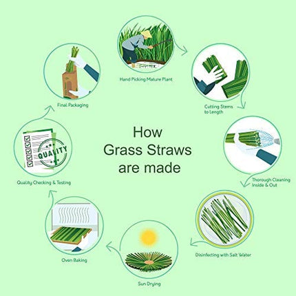 100% Organic Grass Straws Drinking - Pack of 100 Natural Eco Friendly Biodegradable Drinking Straws - Disposable, Safer, Healthier Than Reusable Bamboo Straws Reusable, Paper, Wheat, Plastic Straws