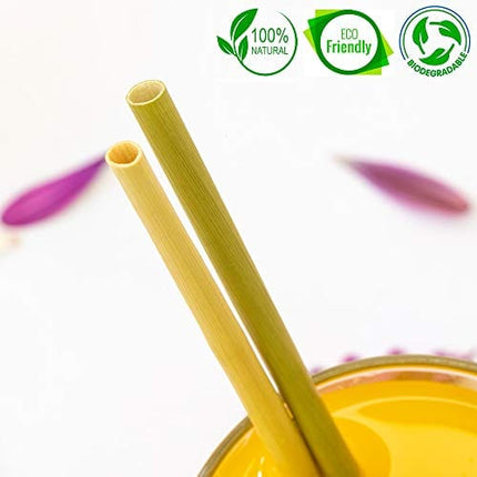 100% Organic Grass Straws Drinking - Pack of 100 Natural Eco Friendly Biodegradable Drinking Straws - Disposable, Safer, Healthier Than Reusable Bamboo Straws Reusable, Paper, Wheat, Plastic Straws