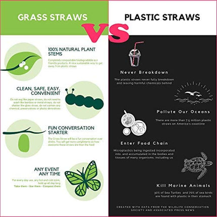 100% Organic Grass Straws Drinking - Pack of 100 Natural Eco Friendly Biodegradable Drinking Straws - Disposable, Safer, Healthier Than Reusable Bamboo Straws Reusable, Paper, Wheat, Plastic Straws