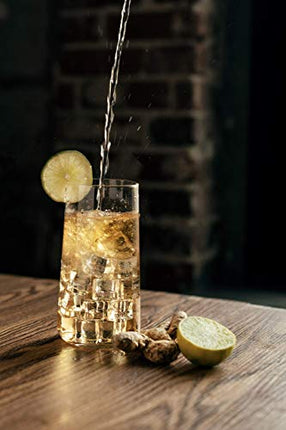 Hella Cocktail Co. Ginger Bitters (5 Fl Oz) - Craft Cocktail Bitters Made with Real Ginger and Whole Spices