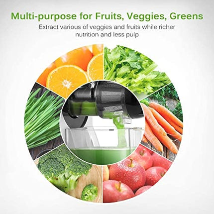 Slow Juicer Machines, HOMEVER Cold Press juicer with Reverse Function, Easy to Clean, Quiet Motor, High Nutrient Wheatgrass Juicer with Juice Jug & Brush, Bpa Free, Silver
