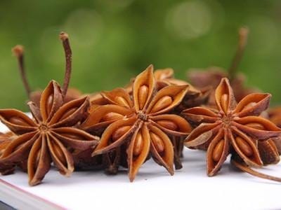 Star Anise-Whole Chinese Star Anise Pods, Dried Anise Star Spice (3 oz)