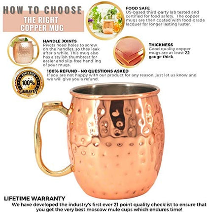 Kitchen Science [Gift Set] Moscow Mule Mugs, Stainless Steel Lined Copper Moscow Mule Cups Set of 6 (18oz) w/Straws, Jigger, Spoon & Brush | Tarnish-Resistant Stainless Steel Interior