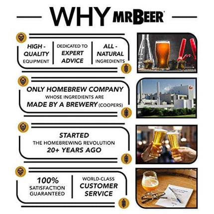 Mr. Beer Complete Beer Making 2 Gallon Starter Kit, Premium Gold Edition, Brown