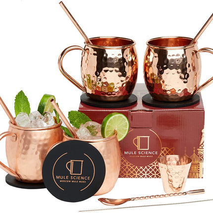 Advanced Mixology [Gift Set] Mule Science Moscow Mule Mugs Set of 4 (19 oz. large size) | 100% Handcrafted | Food Safe | Copper Mugs w/Accessories | Tarnish Resistant Copper Cups