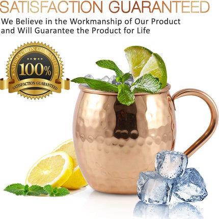Advanced Mixology [Gift Set] Mule Science Moscow Mule Mugs Set of 4 (19 oz. large size) | 100% Handcrafted | Food Safe | Copper Mugs w/Accessories | Tarnish Resistant Copper Cups