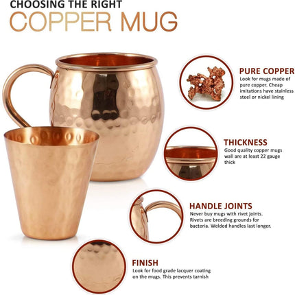 Advanced Mixology [Gift Set] Mule Science Moscow Mule Mugs Set of 4 (19 oz. large size) | 100% Handcrafted | Food Safe | Copper Mugs w/Accessories | Tarnish Resistant Copper Cups