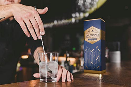 11-Piece Silver Boston Cocktail Shaker Set Bartender Kit | Drink Mixer Bar Set | Cocktail Set Bar Accessories: Martini Shaker, Strainer, Jigger, Muddler, Spoon, & More