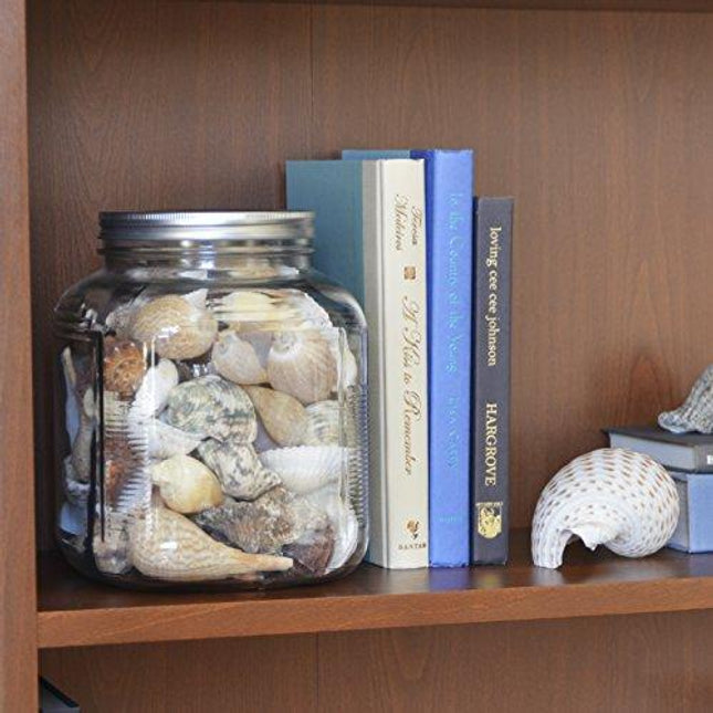 Anchor Hocking 1-Gallon Cracker Jar with Lid, Brushed Aluminum, Set of 4