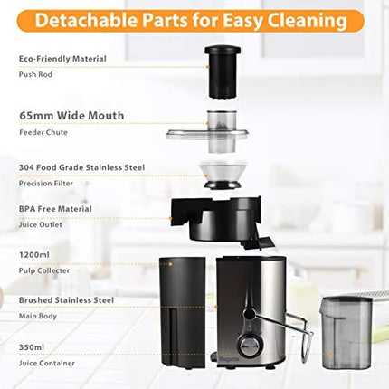Juicer Machines Bagotte Fruit and Vegetable Juicer Compact Juicer Extractor Wide Mouth Centrifugal Juicer, Easy Clean Juicer, Stainless Steel, Dual-Speed, BPA-Free