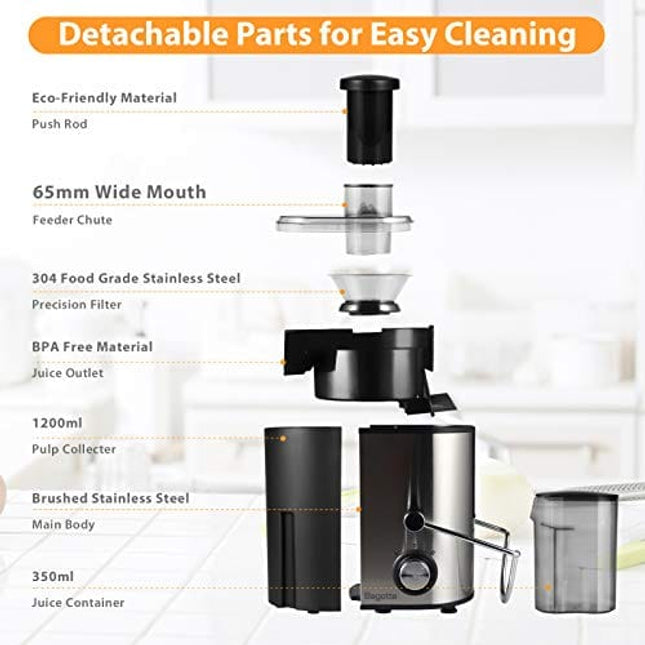 Juicer Machines Bagotte Fruit and Vegetable Juicer Compact Juicer Extractor Wide Mouth Centrifugal Juicer, Easy Clean Juicer, Stainless Steel, Dual-Speed, BPA-Free