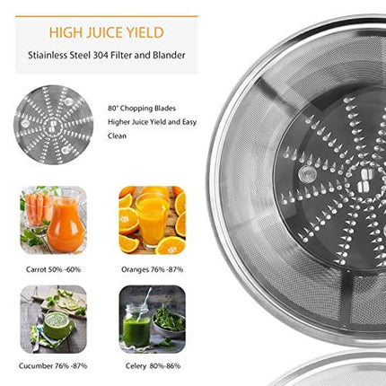 Juicer Machines Bagotte Fruit and Vegetable Juicer Compact Juicer Extractor Wide Mouth Centrifugal Juicer, Easy Clean Juicer, Stainless Steel, Dual-Speed, BPA-Free