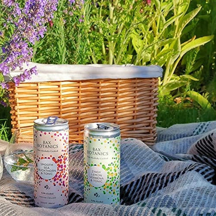 Bax Botanics Zingy Lemon Verbena & Tonic 4-Pack