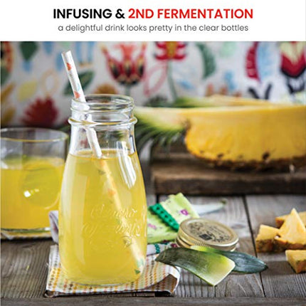 Bormioli Rocco Quattro Stagioni Glass Drinking jar bottle 13½ Ounce Milk Bottles with Gold Metal Airtight Lids, For Juicing, Smoothies, Homemade Beverages Bottle, Reusable Glass Water Bottle (6 Pack)