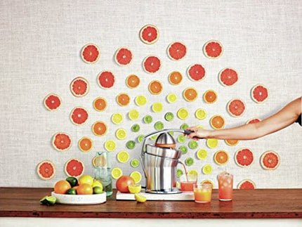 Breville Citrus Press Pro Electric Juicer, Stainless Steel, 800CPXL