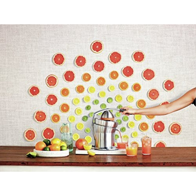 Breville Citrus Press Pro Electric Juicer, Stainless Steel, 800CPXL