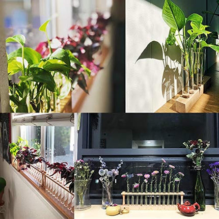 30 PCS Glass Test Tube,15x150mm Glass Tubes with Cork Stoppers,20ml Glass Test Tube for Bath Salt,Candy Storage,Plants,Party Favors,Scientific Experiments