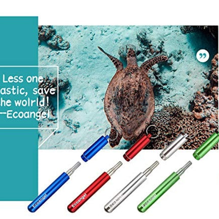 4 Pack Portable Reusable Metal Straw Collapsible Stainless Steel Drinking Straw Telescopic Straw to Drink Water Smoothie with Aluminum Key-chain Case & Cleaning Brush （Silver & blue & red & green）
