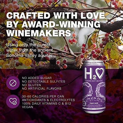 H2o (Best Vintage!) The Best Non Alcoholic Red Wine - Infused California Beverage, 0.0% Alcohol | Unlocked by Science, (Pinot Noir, Pack of 4 - 16 Fl oz)