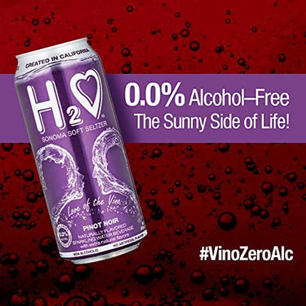 H2o (Best Vintage!) The Best Non Alcoholic Red Wine - Infused California Beverage, 0.0% Alcohol | Unlocked by Science, (Pinot Noir, Pack of 4 - 16 Fl oz)